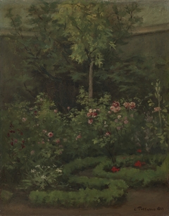 A Rose Garden