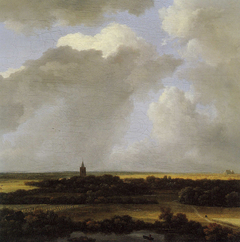 An Extensive Landscape with a View of Alkmaar