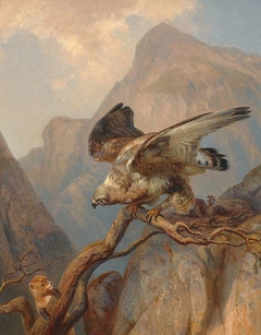 Beech marten at an eagle's nest by Carl Martin Ebersberg