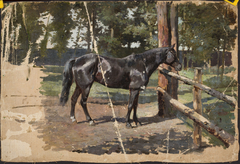 Black horse by Jean Lulves