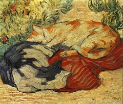 Cats on a red cloth