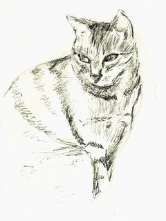 Chat by Louis Georges L