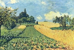 Corn Fields on the Hills in Argenteuil
