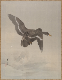 Flying Goose by Watanabe Shōtei
