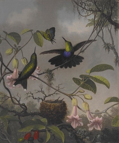 Fork-tailed Woodnymph by Martin Johnson Heade