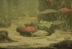 Goud- en zilvervisjes in een aquarium by Gerrit Willem Dijsselhof