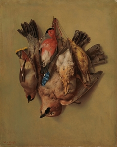 Hanging Birds by Magnus von Wright