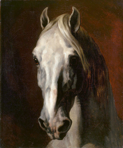 Head of a white horse by Théodore Géricault