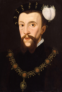 Henry Howard, Earl of Surrey by Anonymous