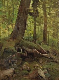 Hunter in the White Mountains near Glen House by Albert Bierstadt