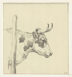 Kop van een koe, naar rechts by Jean Bernard