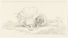 Liggende geit voor een staande geit by Jean Bernard