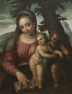 Maria mit Jesuskind und Johannes by Paolo Farinati