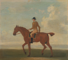 One of Four Portraits of Horses - a Chestnut Racehorse with Jockey Up: walking to the left; jockey in buff-yellow jacket by Anonymous