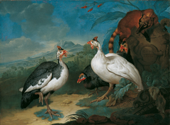 Perlhühner und Nasenbär by Philipp Ferdinand de Hamilton