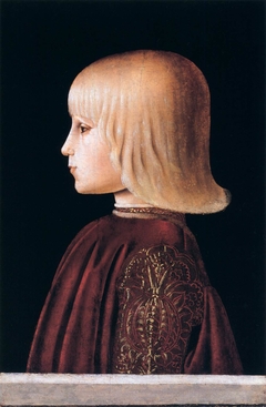 Portrait of a Boy. Guidobaldo da Montefeltro (?) by Piero della Francesca