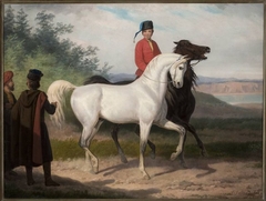 Purchase of an Arab horse by January Suchodolski