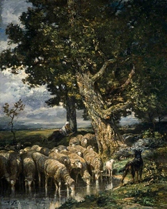 Sheep at a Watering Place by Charles Jacque