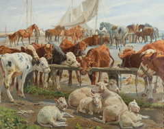Shipping of cattle from Kastrup harbor to Saltholmen