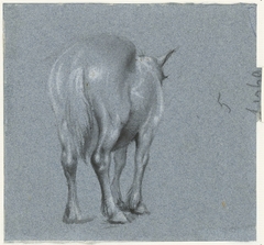 Studie van een paard, van achteren by Moses ter Borch