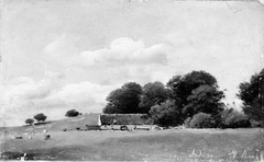 Study of Landscape with a Thatched Building in front of Tall Trees by Vilhelm Petersen