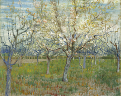 The Pink Orchard