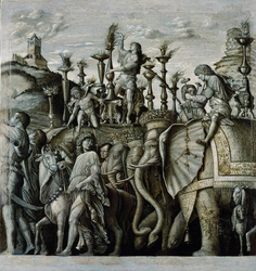 The Triumphs of Caesar: Elephants