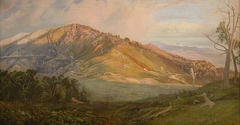 Tokatea Goldfields, Coromandel by Edward Augustus Gifford