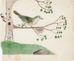 Two Birds by Ferdinand von Wright