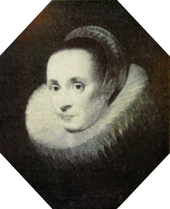 Portrait of a Lady by Cornelis de Vos