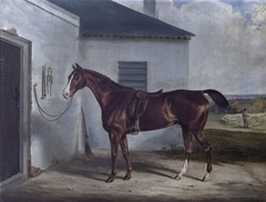 A Chestnut Hunter saddled outside a Stable by William Webb