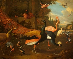 A Peacock and Peahen with a Crane, Flamingo, Pelican, and other Fowl, in a Park