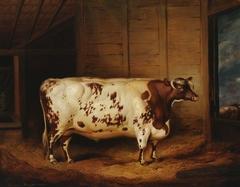 A Prize Shorthorn Ox by Thomas Weaver