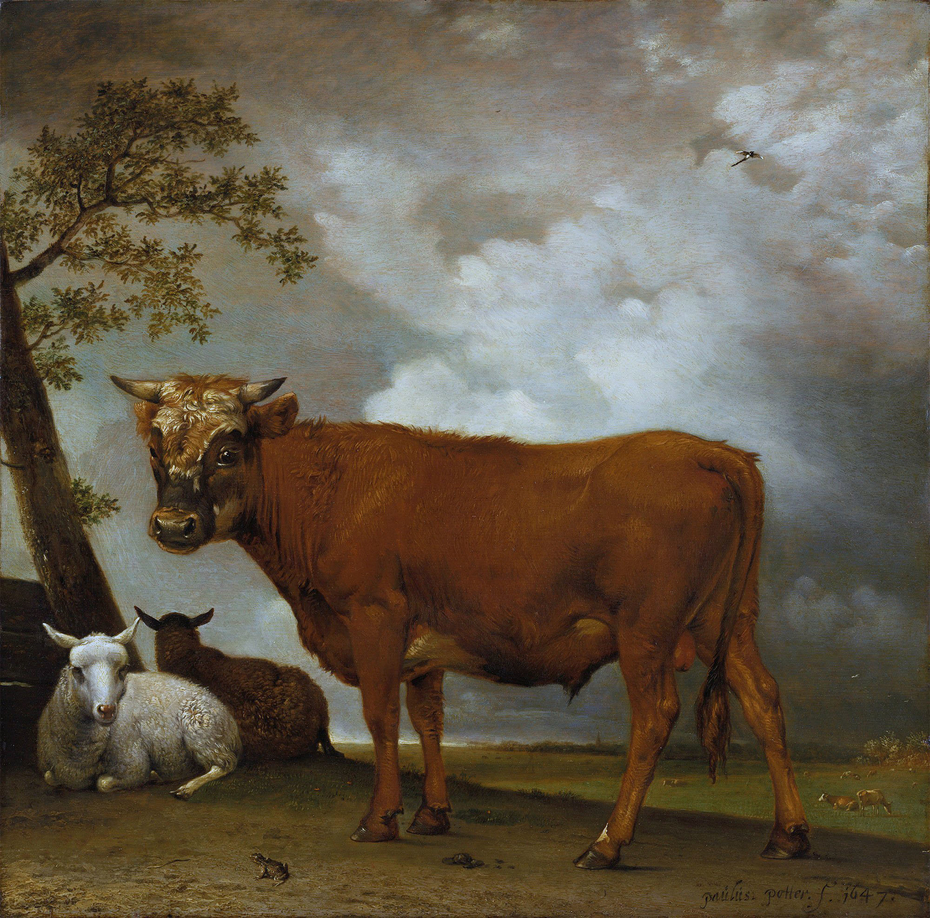 A Young Bull in a Landscape