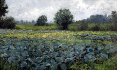 Cabbage Field by Gustave Stoskopf