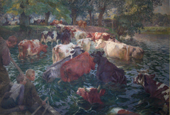 Cows crossing the Lys River