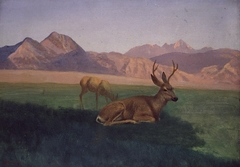 Deer by Albert Bierstadt