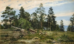 Forest by the sea by Ivan Shishkin
