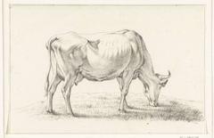 Grazende koe, naar rechts by Jean Bernard