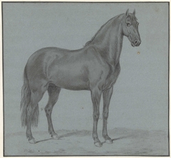 Het paard van Monsieur de Guille by Tethart Philip Christian Haag