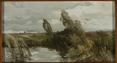 Landscape with water and bulrush by Roman Kochanowski