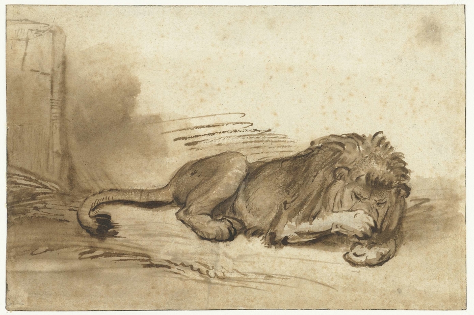 Liggende leeuw met een klauw op zijn neus