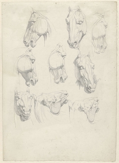Negen anatomische studies van een paardenhoofd by Hendrik Voogd