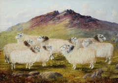 Nine Sheep in a Landscape