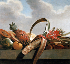 Pineapple, papaya and other fruit by Albert Eckhout