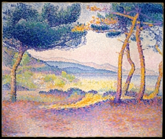 Pines Along the Shore