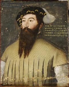 Sir Peter Carew by Anonymous