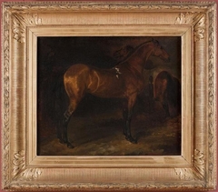 Spanish horse in a stable by Théodore Géricault