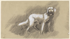 Staande hond by Jan van Essen