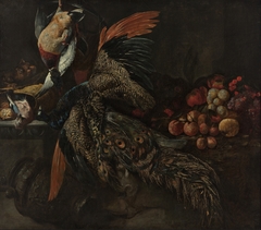 Still life with a dead peacock by Pieter Boel